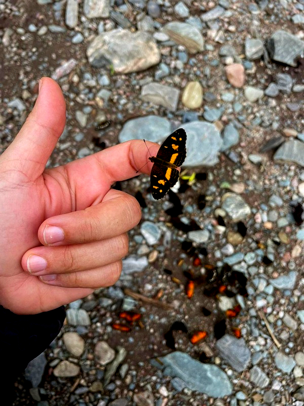 The valuable natural treasure protected by El Morado.